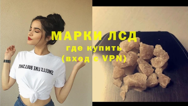 стафф Каменка