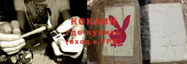 стафф Каменка