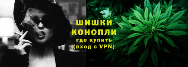 стафф Каменка