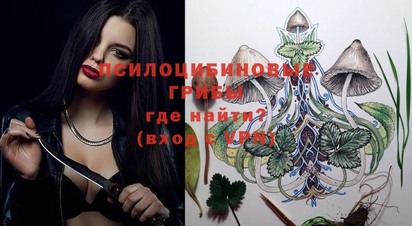 стафф Каменка