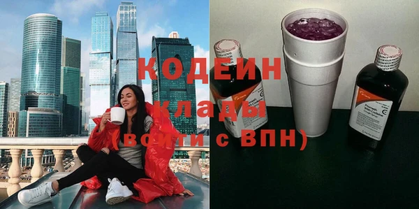 стафф Каменка